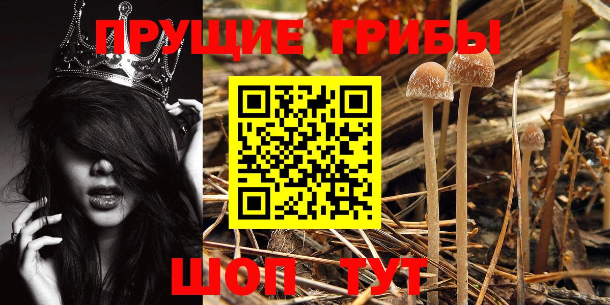 Псилоцибиновые грибы Psilocybine cubensis  Галлюциногенные грибы Magic Shrooms  Вход с VPN  Междуреченск 