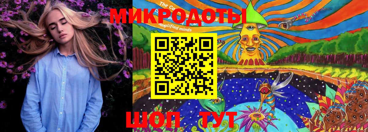 Псилоцибиновые грибы Cubensis Междуреченск